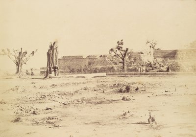 Paisaje árido con una fortaleza no identificada, Delhi de Charles Moravia